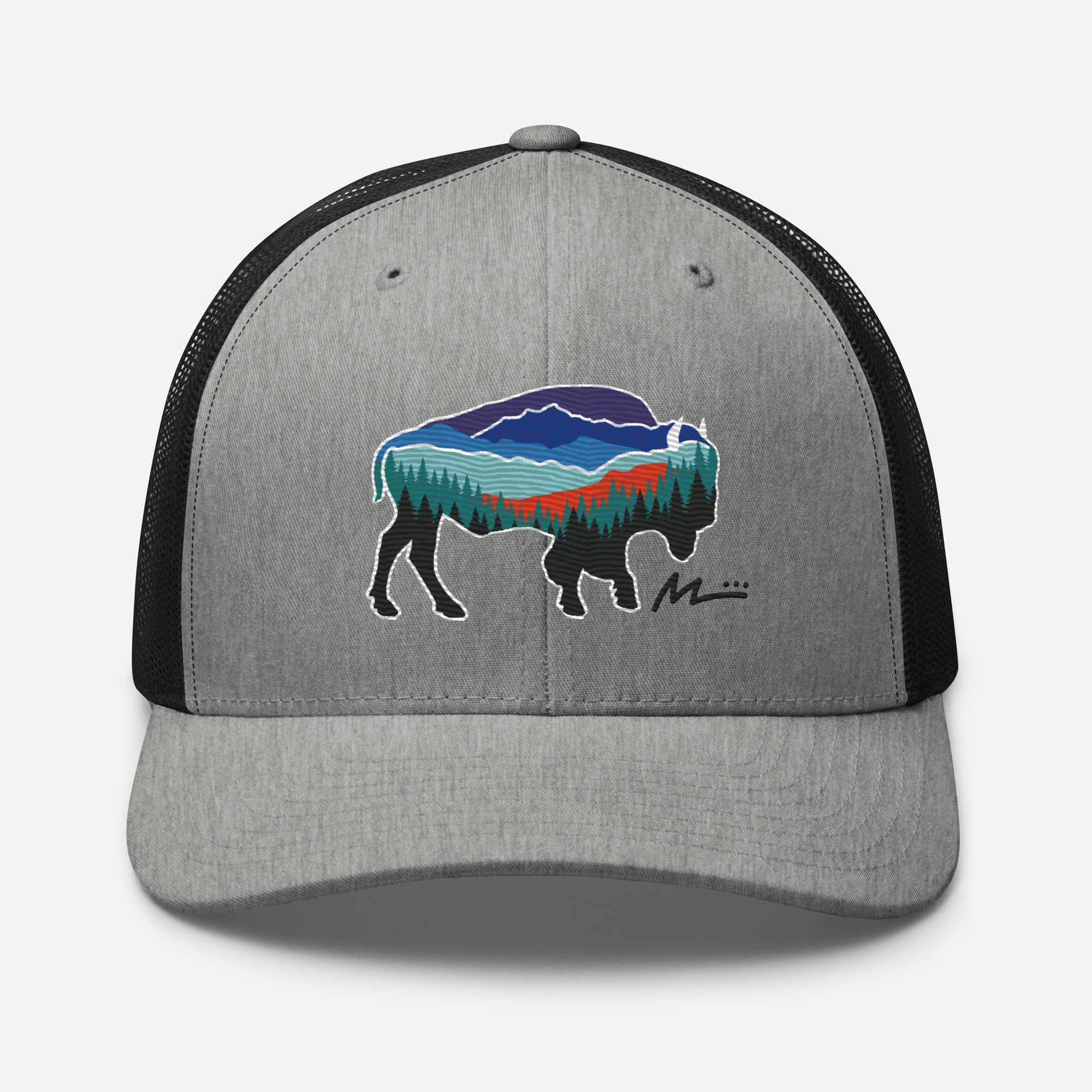 Patagonia Hat Black Patagonia Rainbow Hoodie American Bison  display picture 2